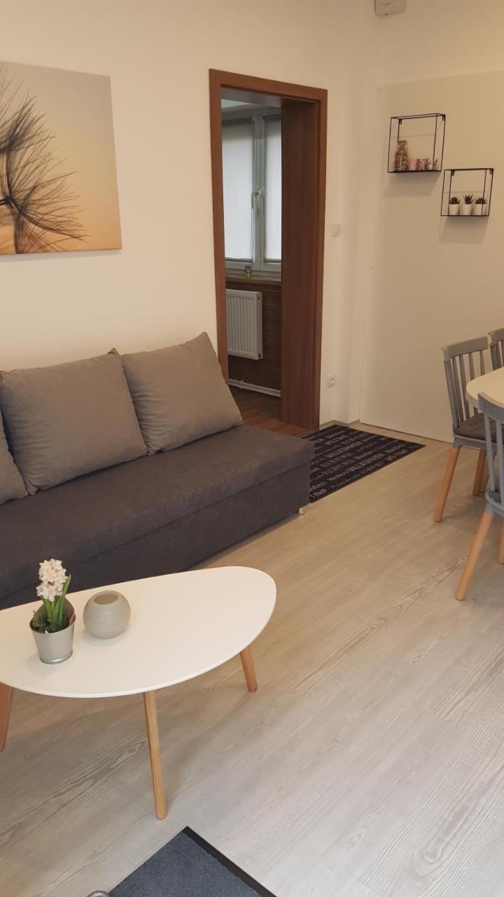 Apartment Pension Stark Frantiskovy Lazne Exterior photo